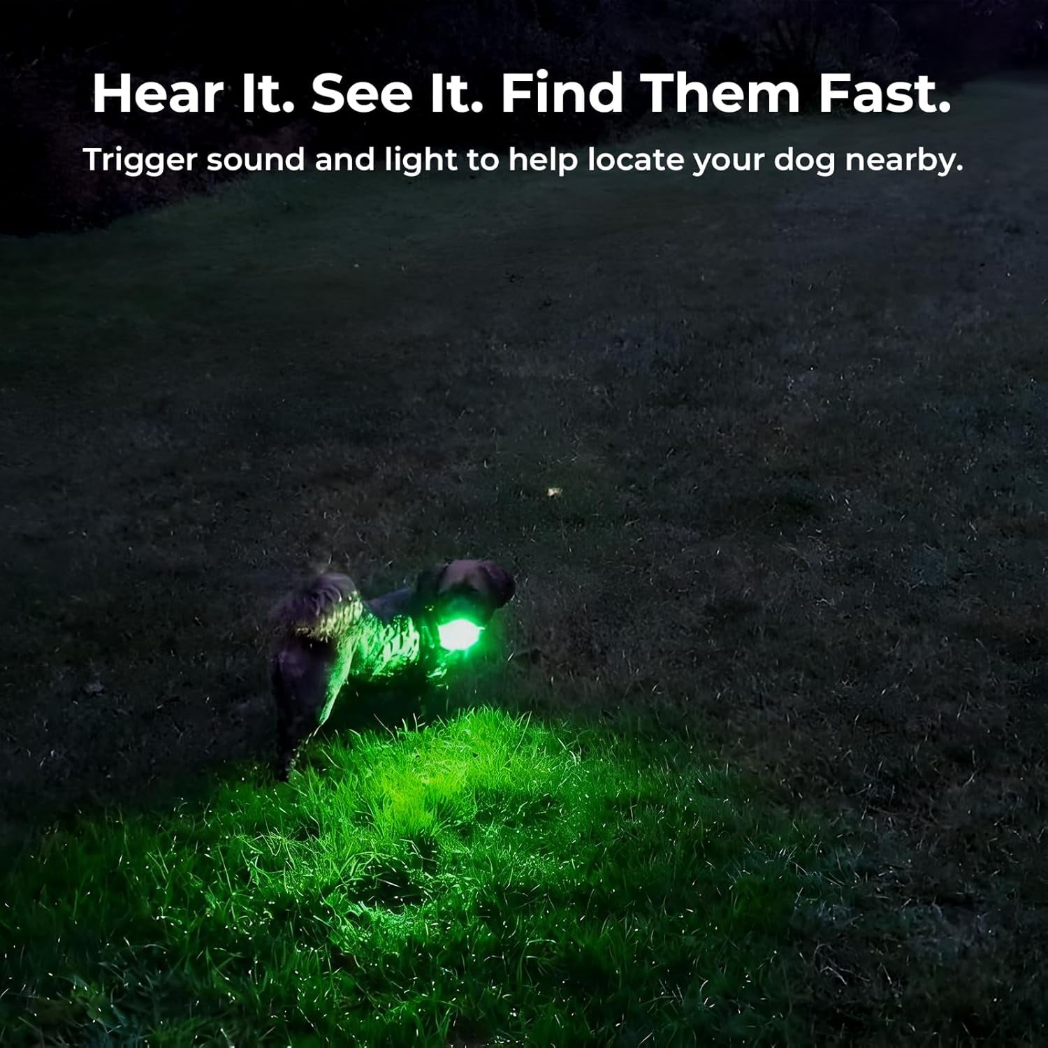 GPS Dog Tracker No Subscription, Off Grid, Large Dogs Waterproof, 7 day battery life.
