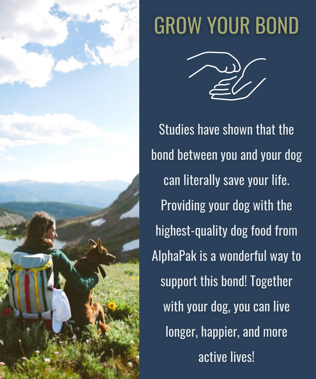 Freeze-Dried Raw Beef — Formulated for Dog Longevity
