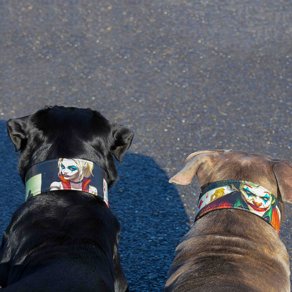 Limited Harley Quinn Collar