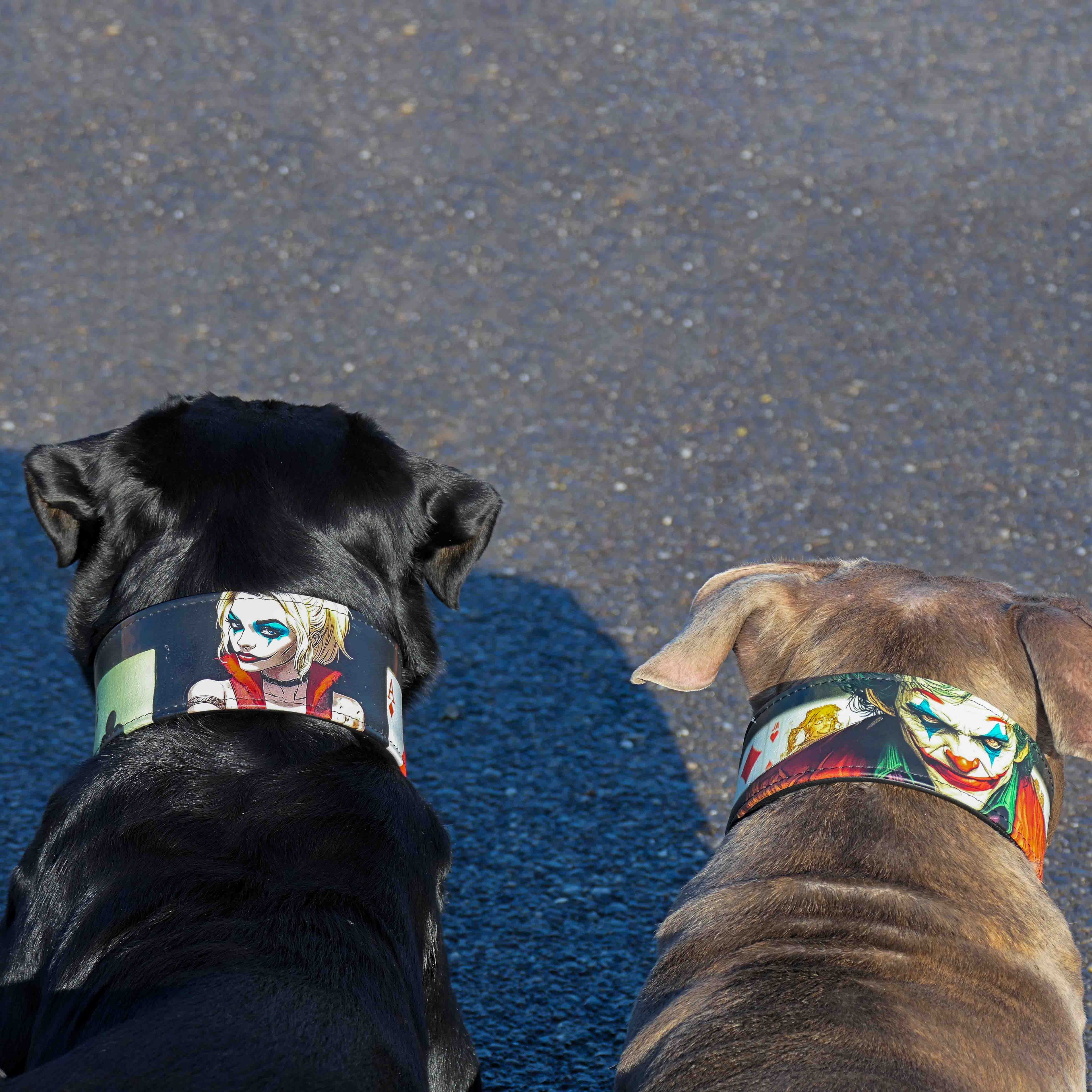 Limited Harley Quinn Collar