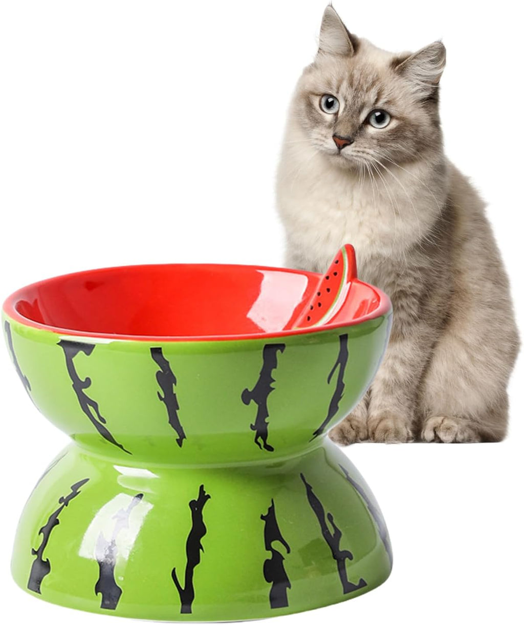 Cat sitting next to a green and red bowl with a watermelon design on a white background