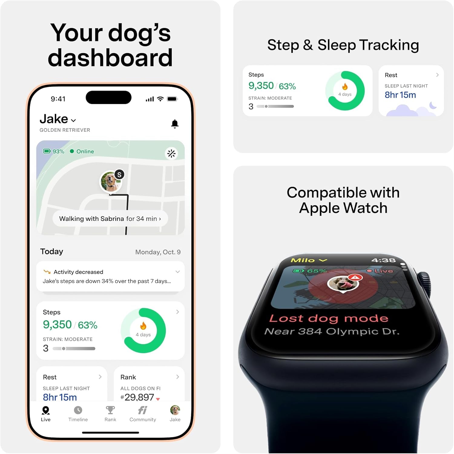 Fi Series 3+ Smart GPS Dog Tracker Collar Health Monitor Waterproof LED