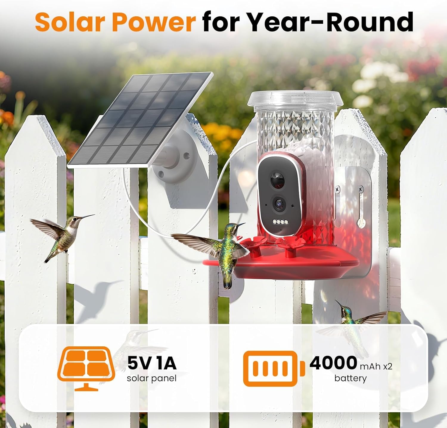 Hummingbird Feeder Camera Solar WiFi 2.5K HD AI Night Vision