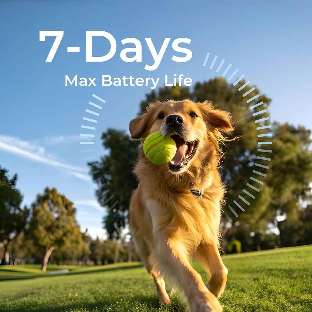 GPS Dog Tracker No Subscription, Off Grid, Large Dogs Waterproof, 7 day battery life.