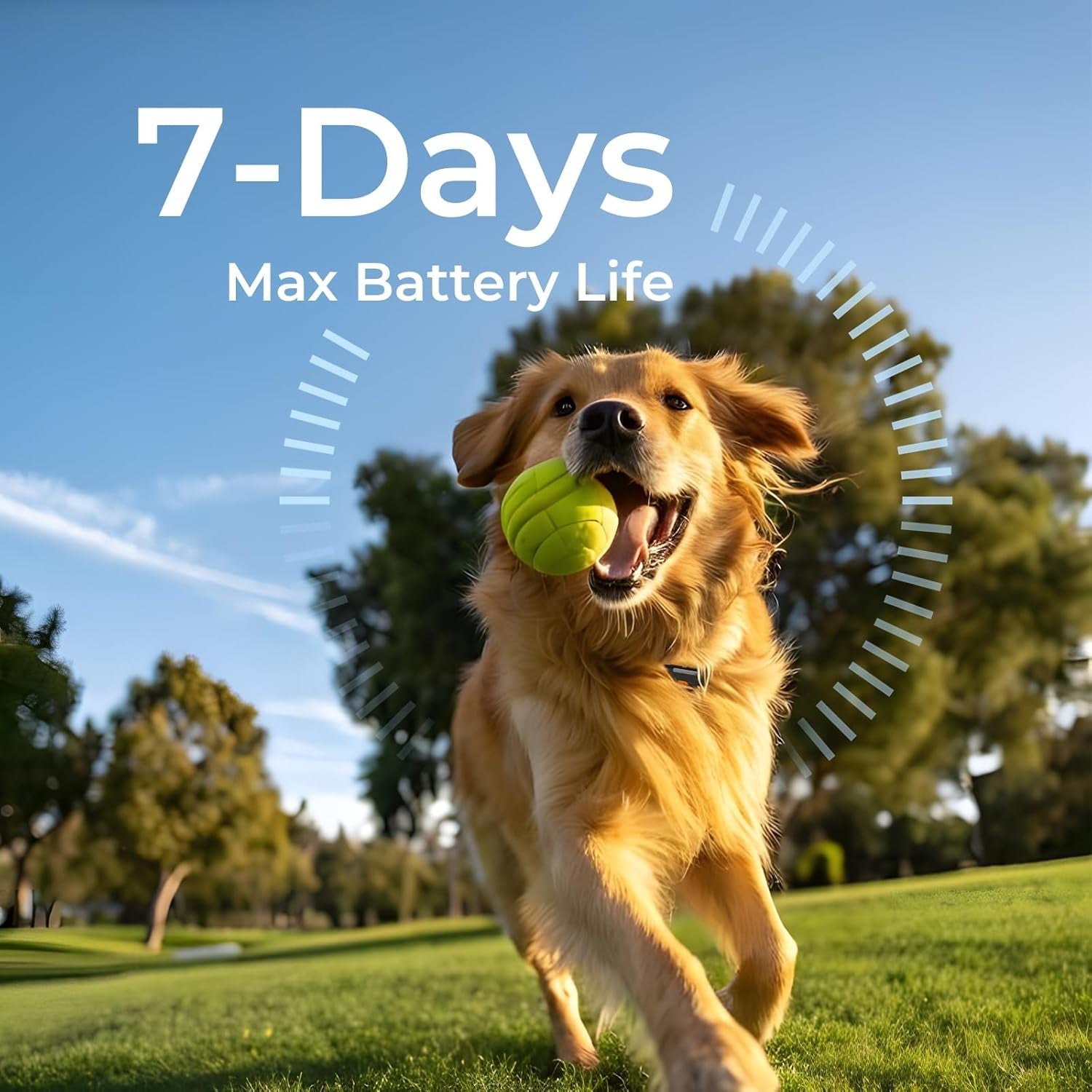 GPS Dog Tracker No Subscription, Off Grid, Large Dogs Waterproof, 7 day battery life.