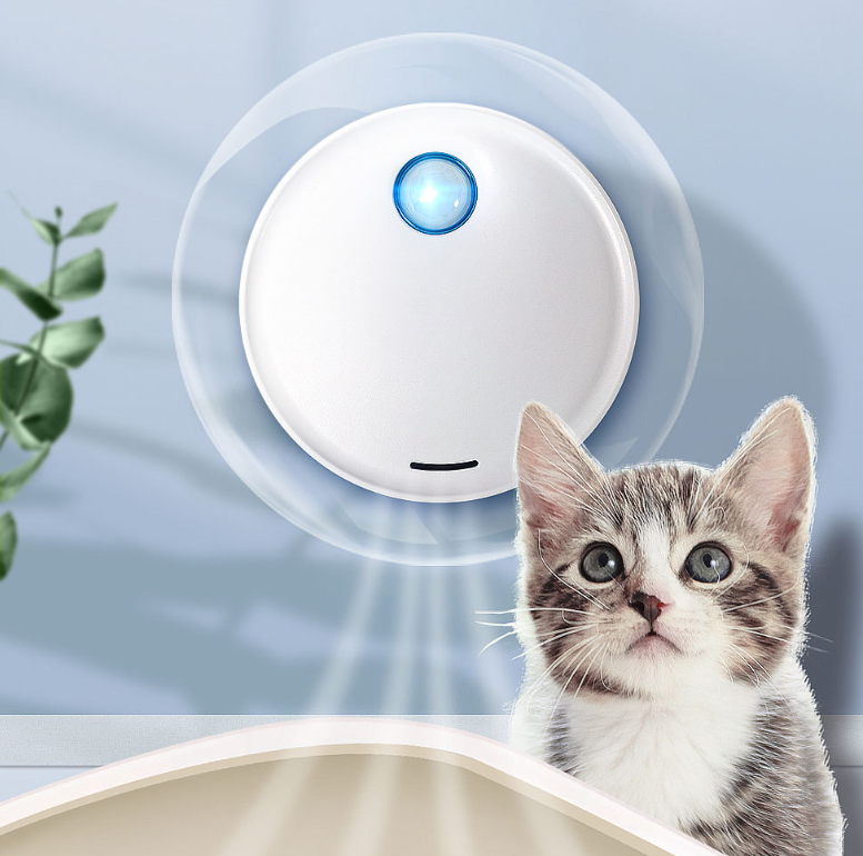Cat toy with a glowing blue light and a kitten looking at it