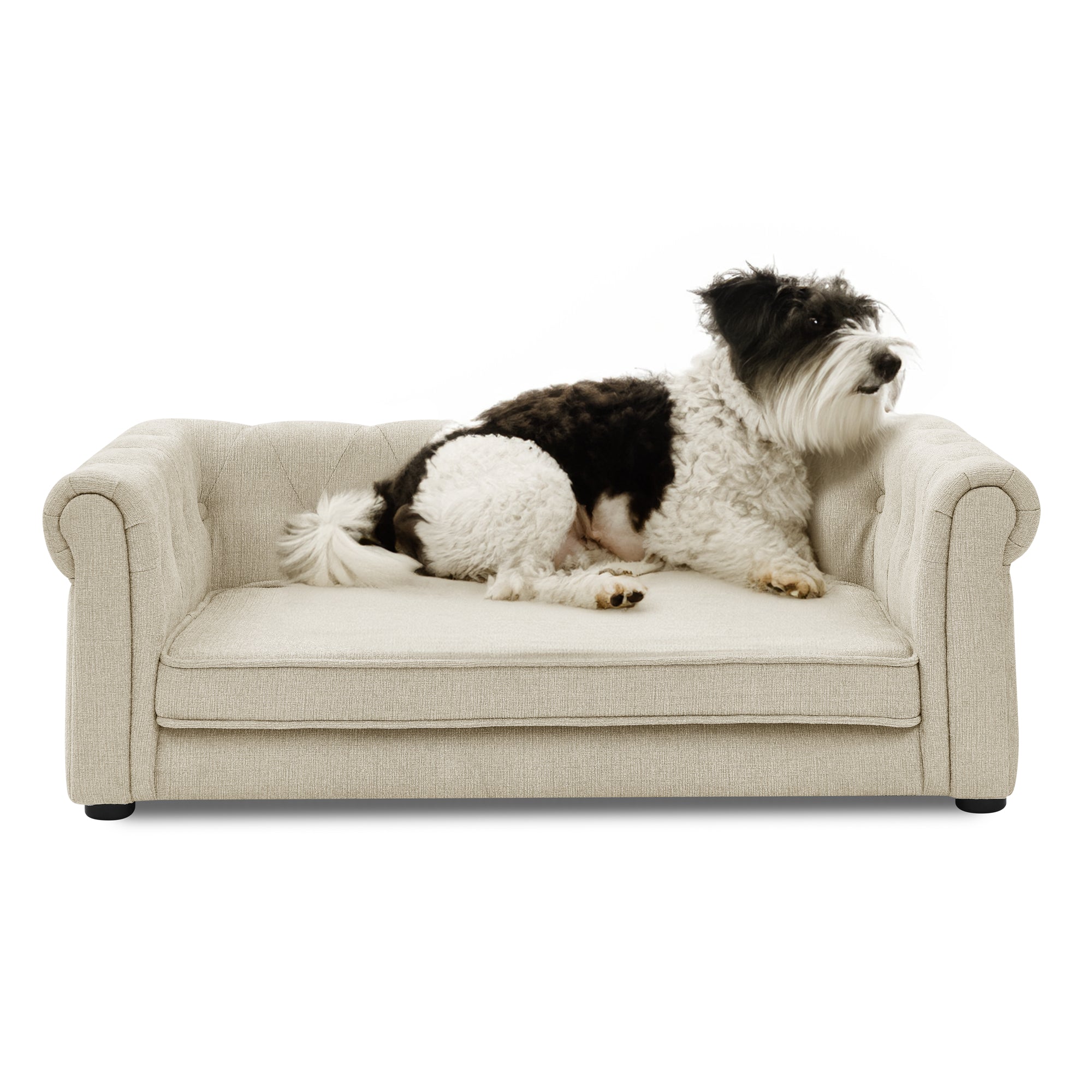Elegant Pet Bed for Medium and Large Dogs, Durable Elevated Dog Sofa, Beige.