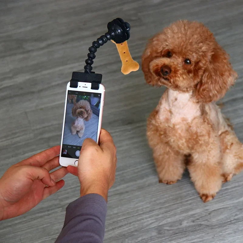 Person using a smartphone with a flexible tripod to take a photo of a small brown dog.