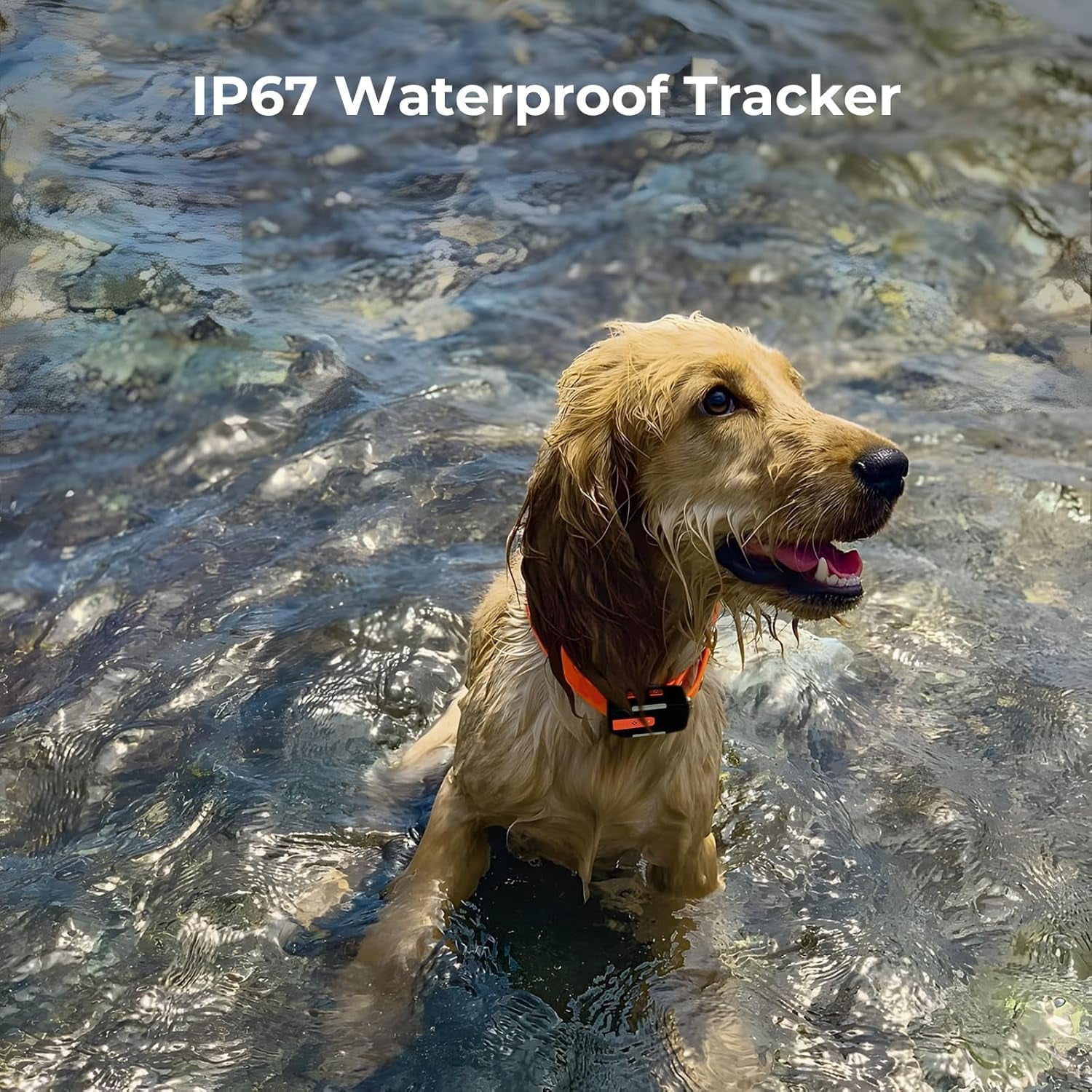 GPS Dog Tracker No Subscription, Off Grid, Large Dogs Waterproof, 7 day battery life.