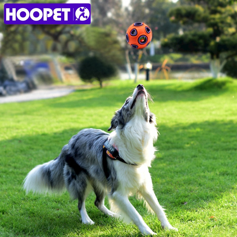 HOOPET Interactive Rubber Ball — Dog Chew & Treat Dispensing Toy