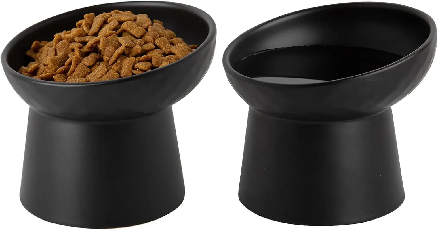 Ceramic Elevated Cat Bowls Set