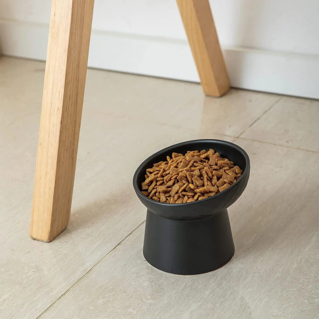 Ceramic Elevated Cat Bowls Set