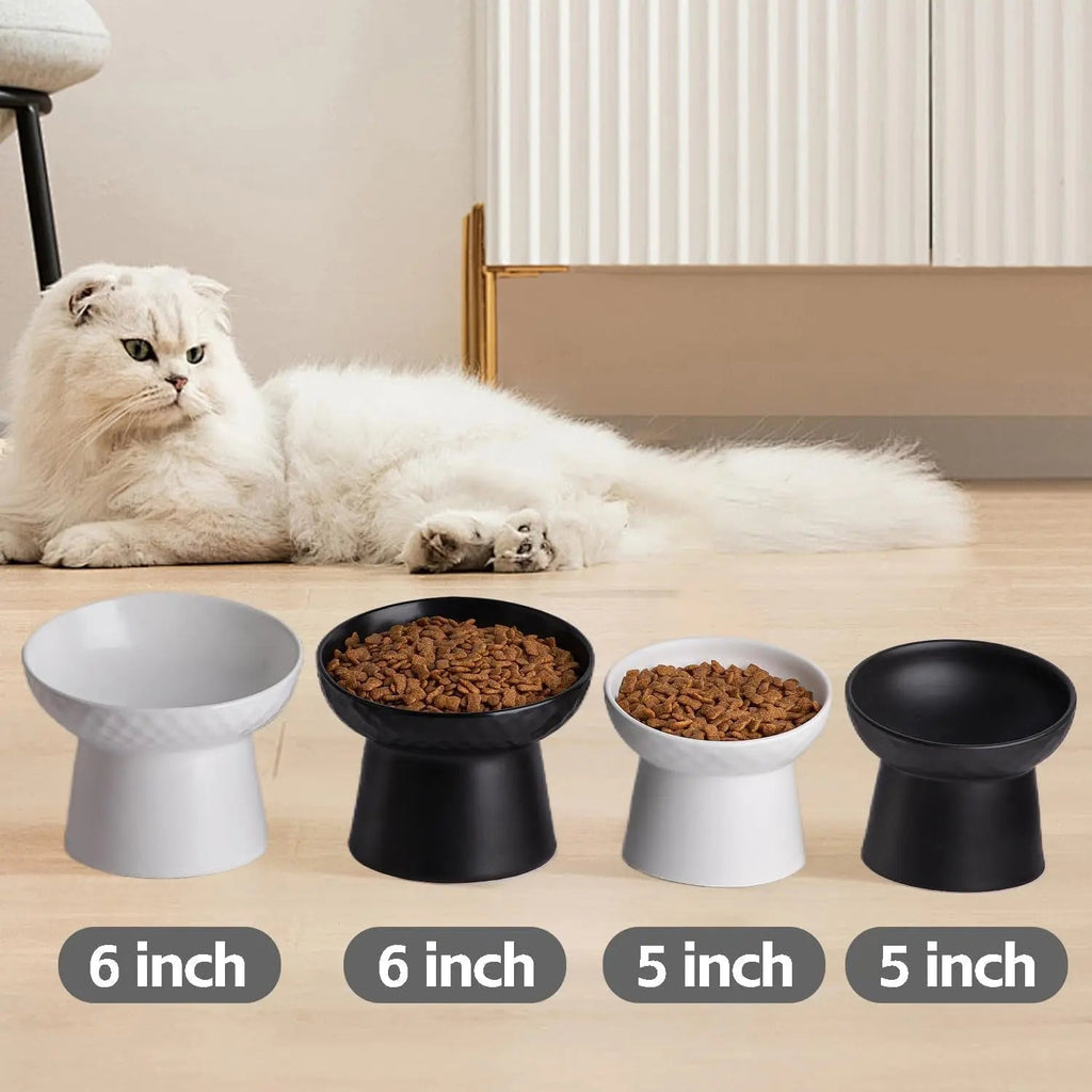 Ceramic Elevated Cat Bowls Set