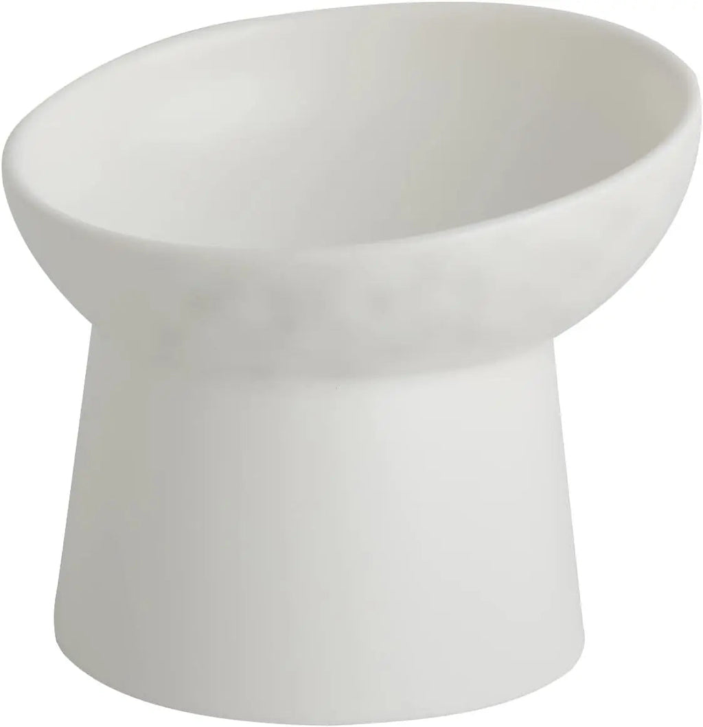 Ceramic Elevated Cat Bowls Set