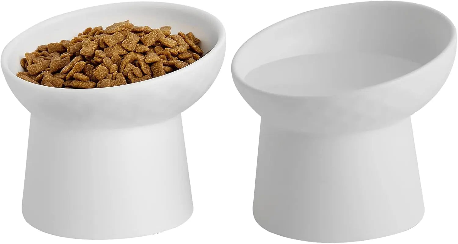 Ceramic Elevated Cat Bowls Set