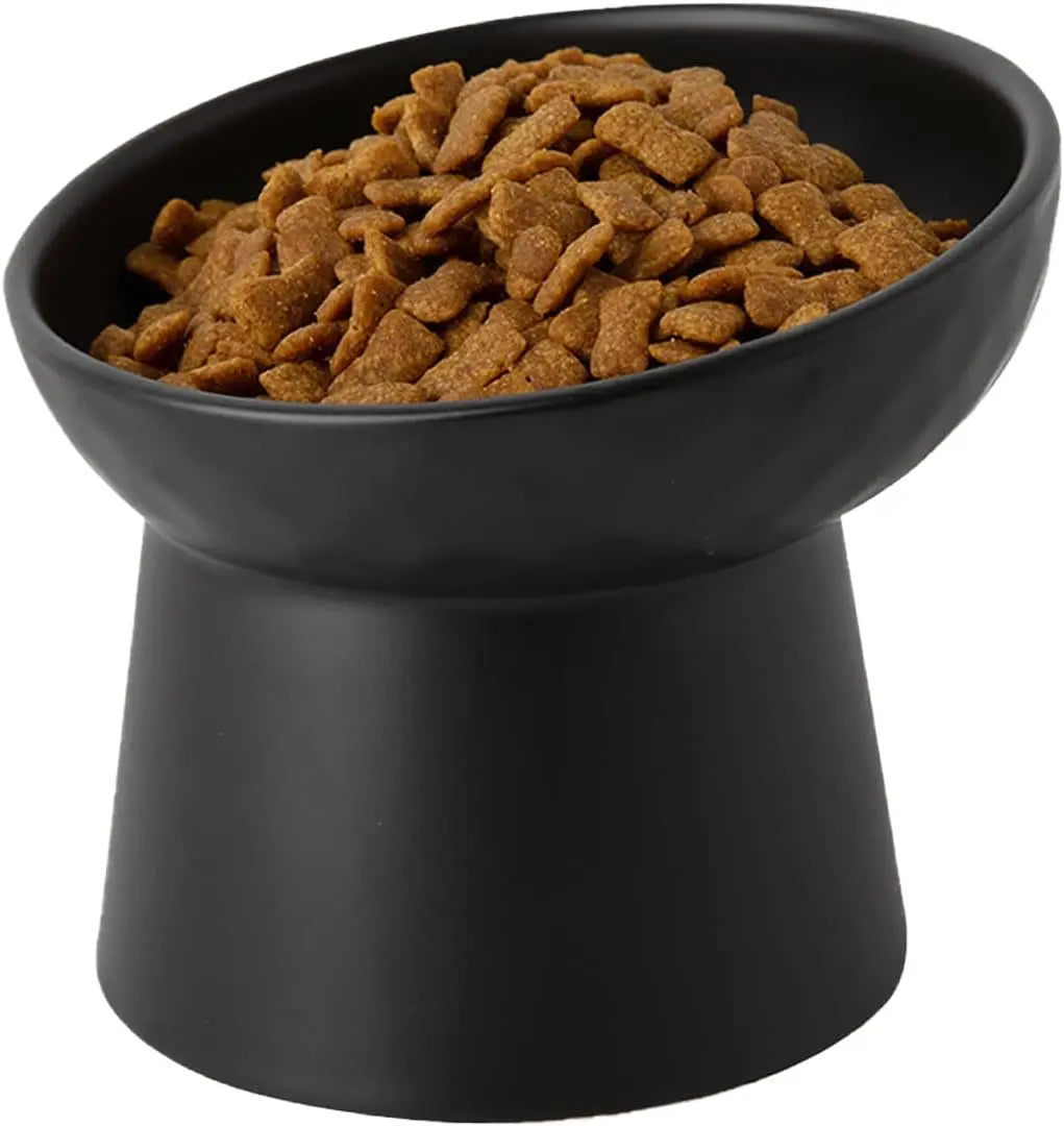 Ceramic Elevated Cat Bowls Set