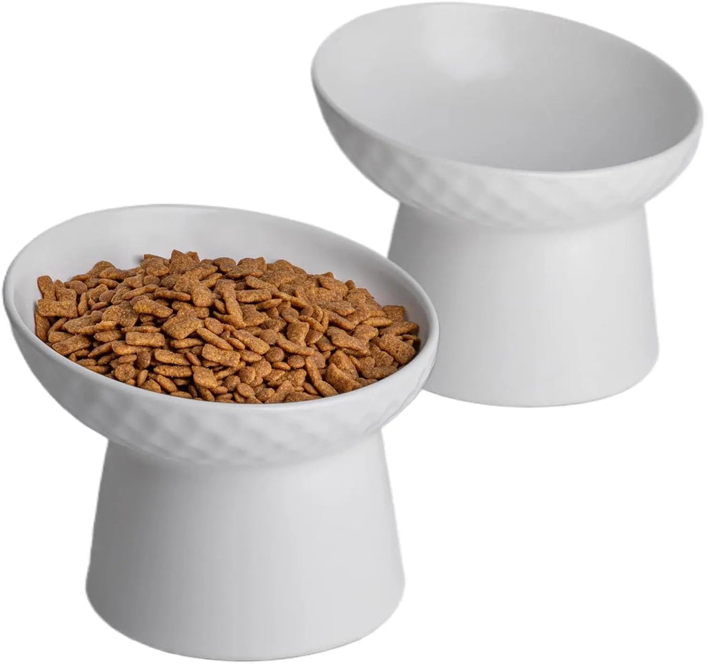 Ceramic Elevated Cat Bowls Set