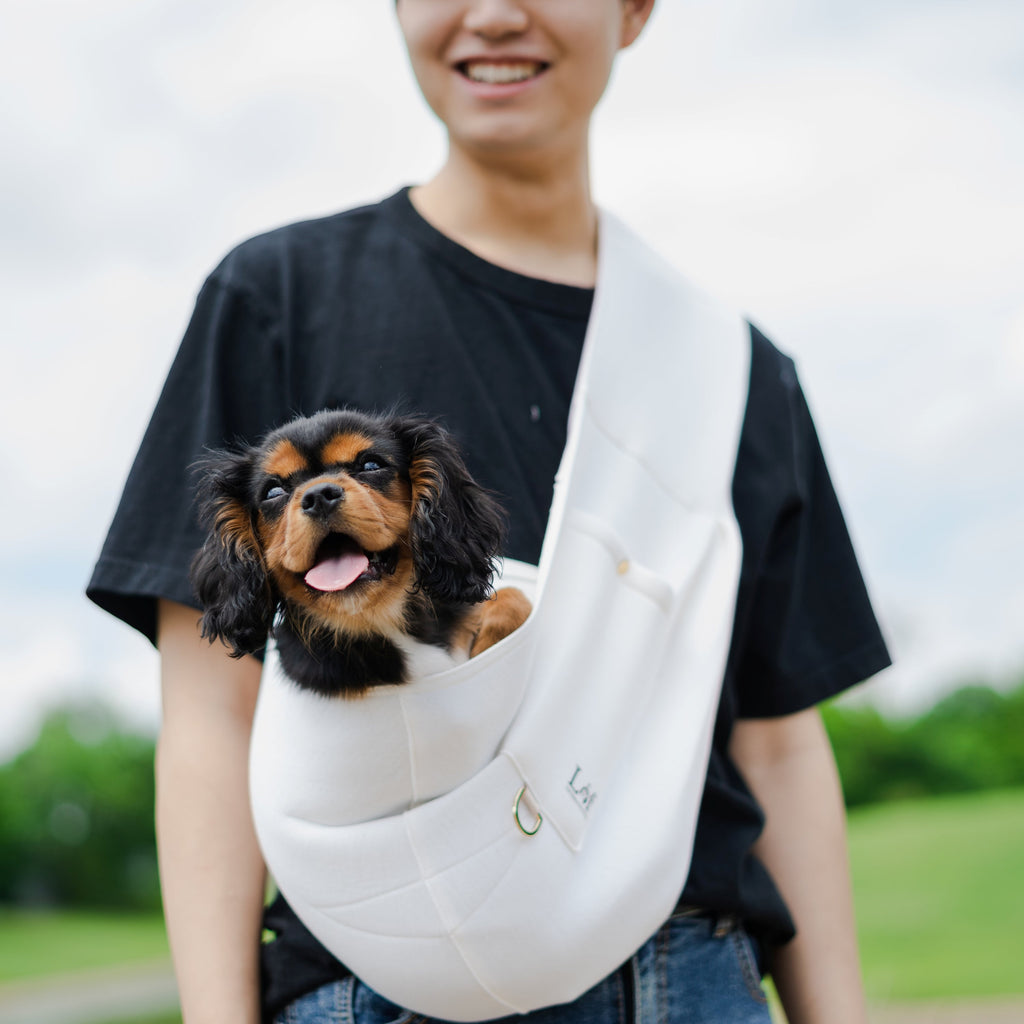 Neoprene Pet Sling Carrier - Stylish Travel for Small Pets