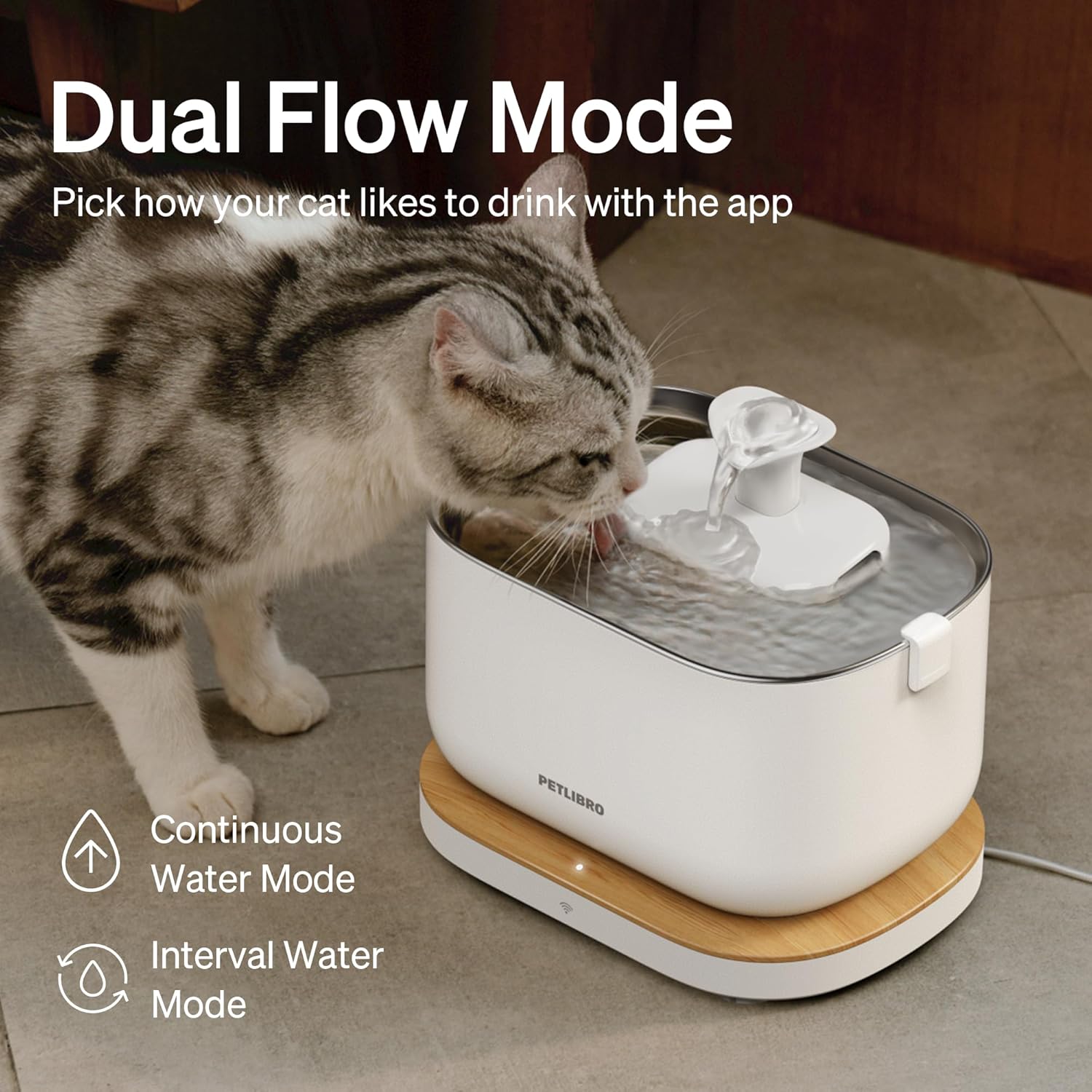 Premium Petlibro For Pets Dockstream Wireless Water Fountain | Smart Stainless Steel Hydration System with App Tracking