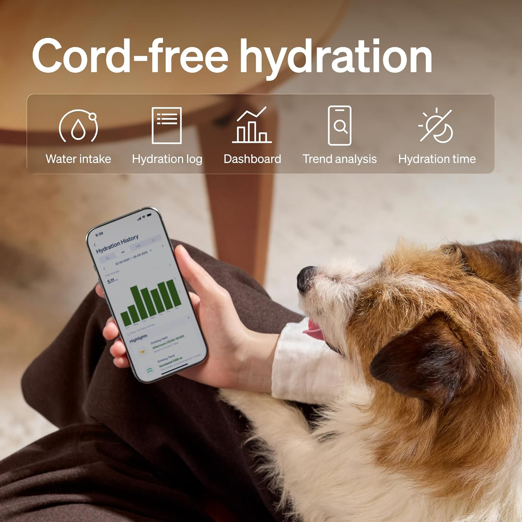Stainless Steel, Smart App, 3L Automatic Fountain