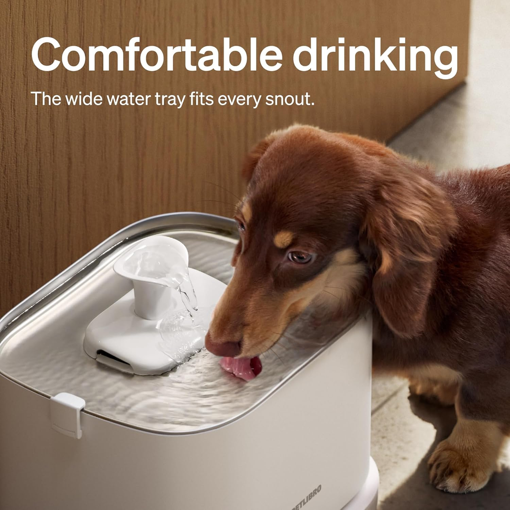 Stainless Steel, Smart App, 3L Automatic Fountain