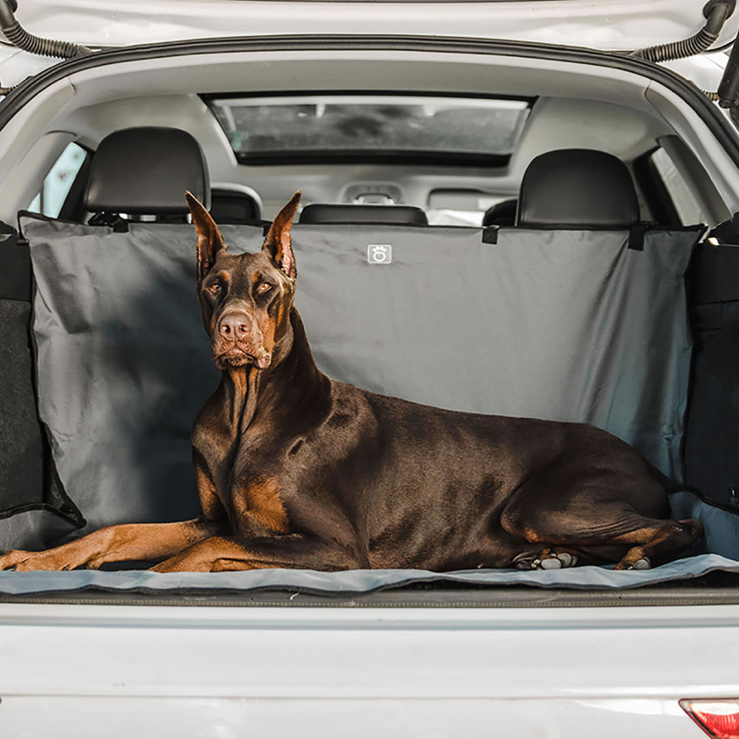 Vehicle Pet Cargo Cover