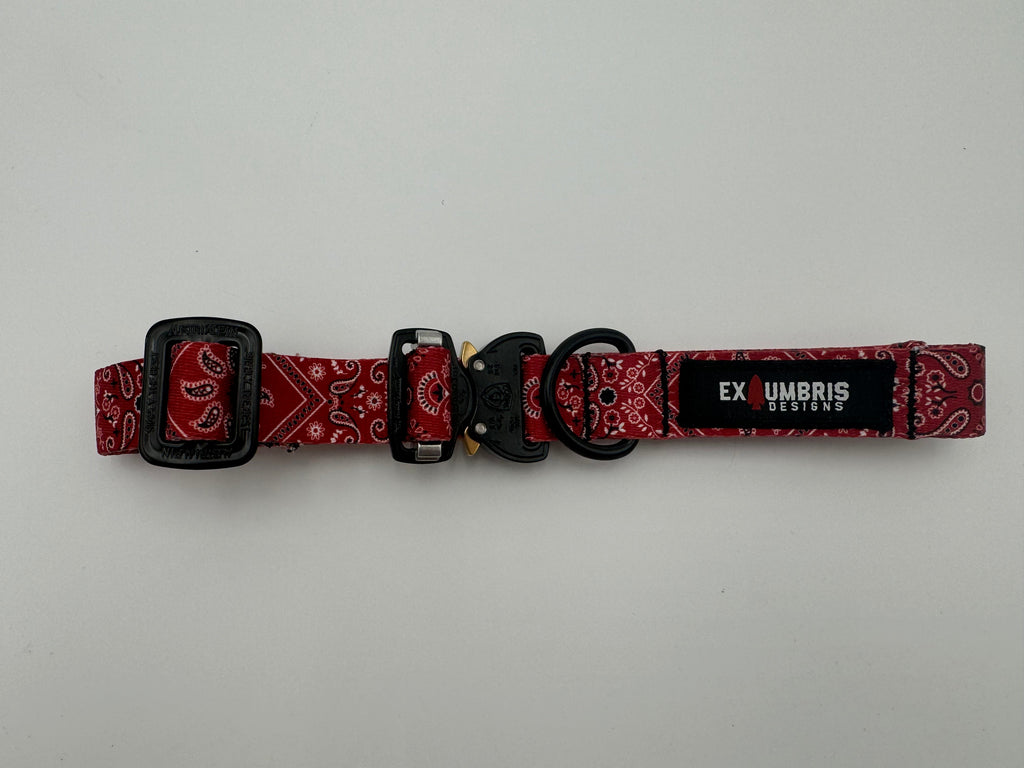 Cobra Buckle Dog Collar