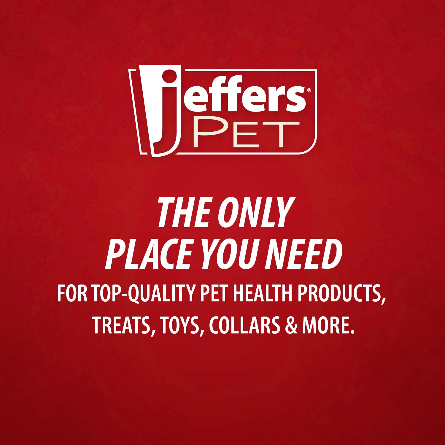 Jeffers Pet Tearless All-Purpose, All-Natural Coconut Oil Shampoo for Dogs & Cats