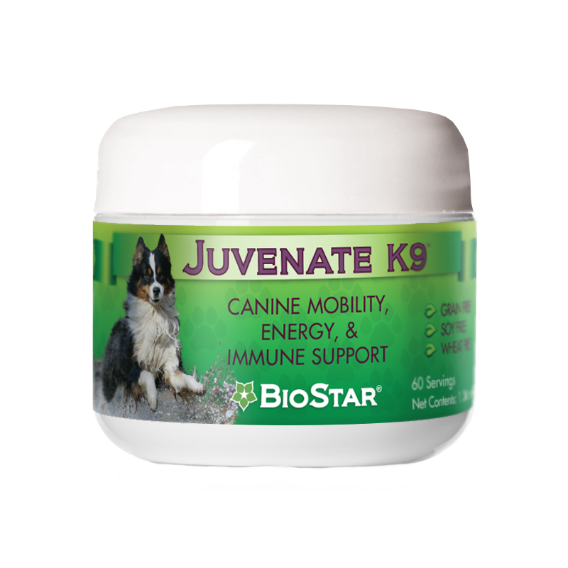 Premium Immune Support for Dogs Juvenate K9