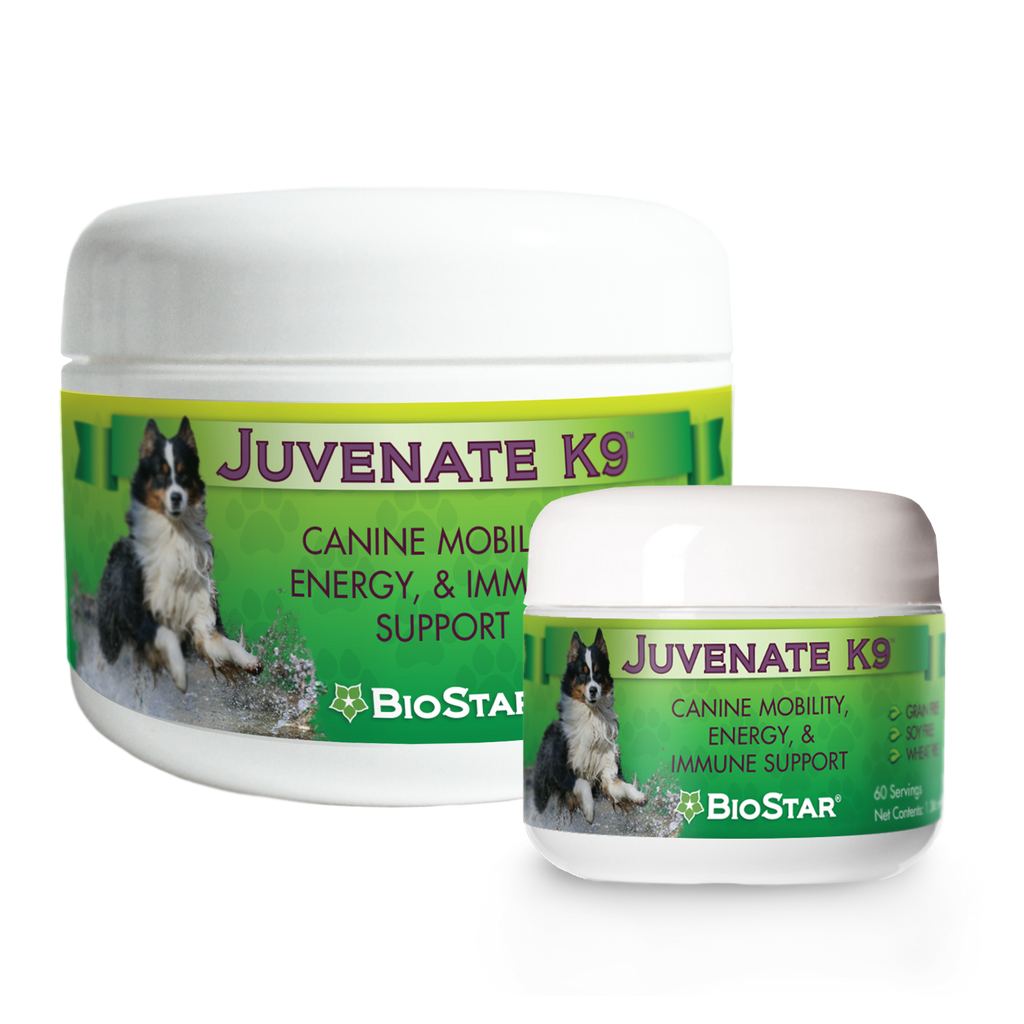 Premium Immune Support for Dogs Juvenate K9