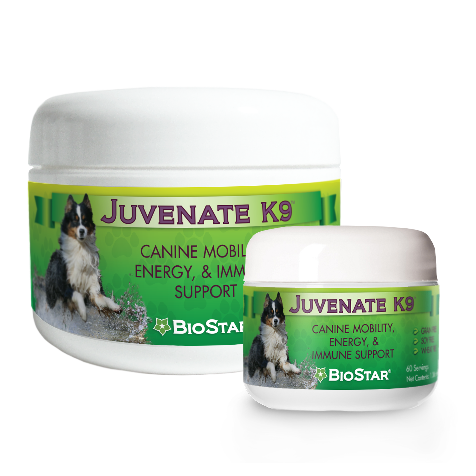 Premium Immune Support for Dogs Juvenate K9