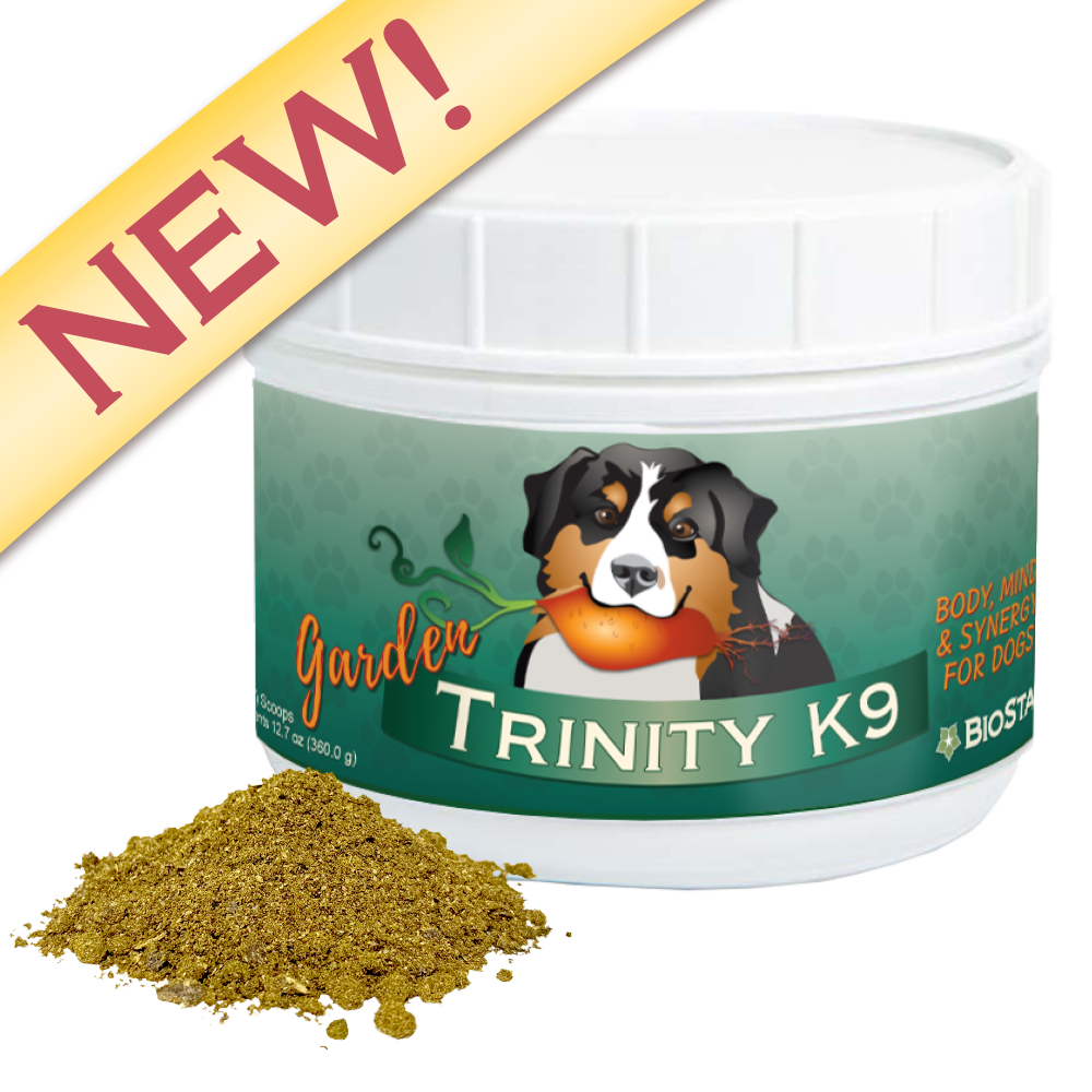 A white plastic jar of Garden Trinity K9 dog supplement with a green label featuring a Bernese mountain dog illustration, shown with a small pile of the brownish-green powder in front on a white background. A yellow diagonal banner with the word 'NEW!' is visible in the top left corner.