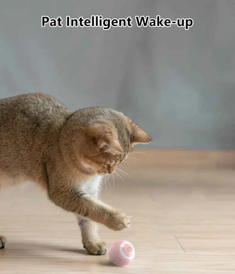 Smart Cat Ball: Auto-Rolling for Active Play