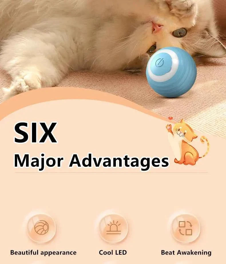 Smart Cat Ball: Auto-Rolling for Active Play