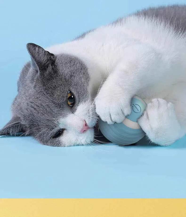 Smart Cat Ball: Auto-Rolling for Active Play