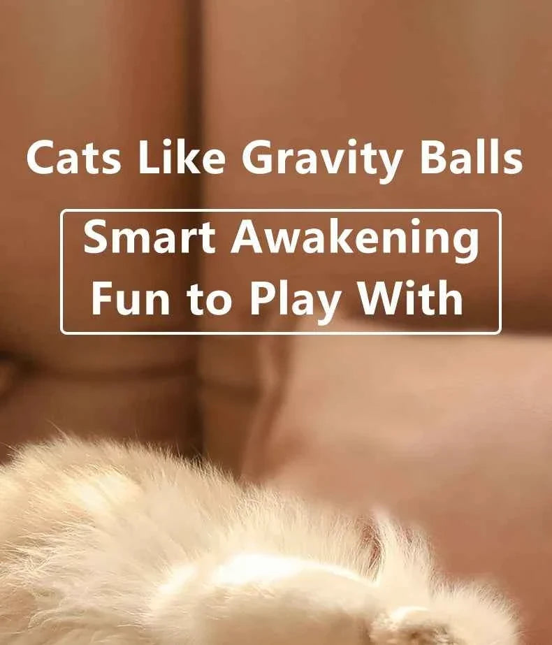Smart Cat Ball: Auto-Rolling for Active Play