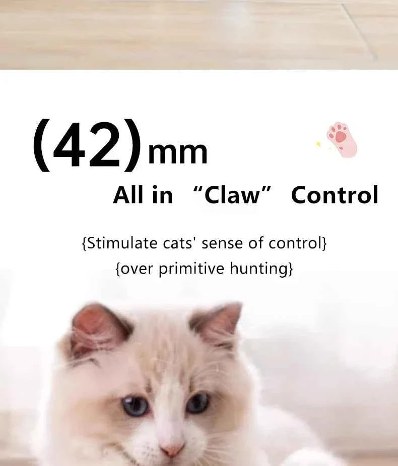 Smart Cat Ball: Auto-Rolling for Active Play