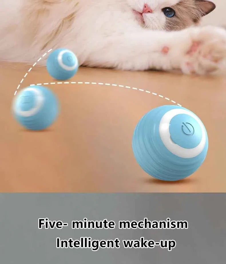 Smart Cat Ball: Auto-Rolling for Active Play