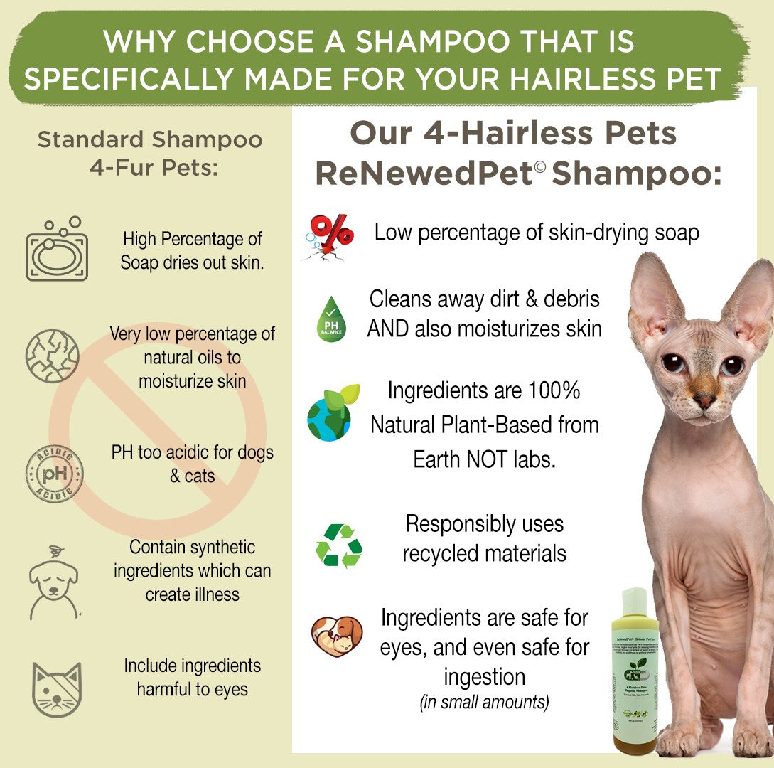 PETS REGULAR SHAMPOO