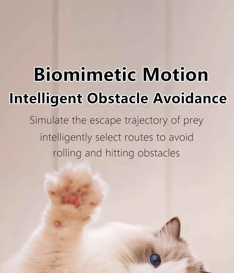Smart Cat Ball: Auto-Rolling for Active Play