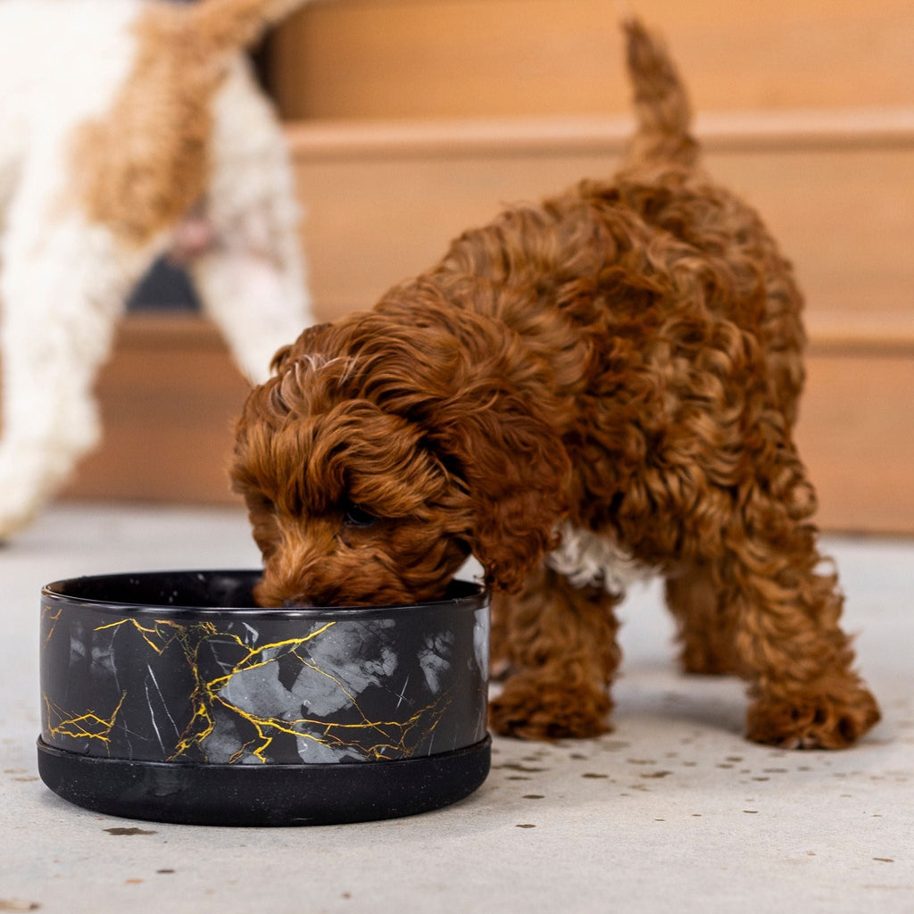 Wasatch Limited Edition Ceramic Bowl