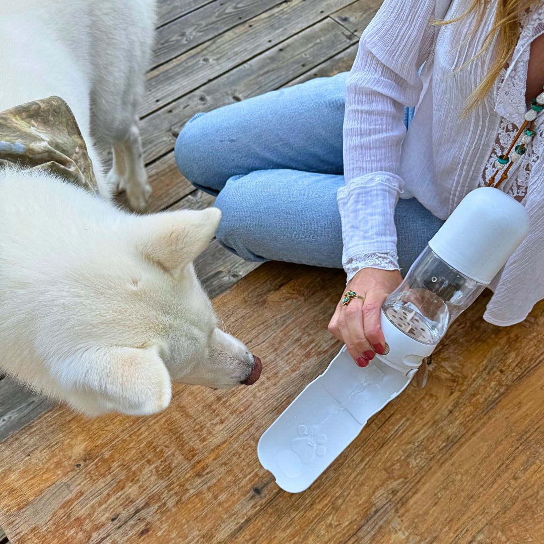 Tilley + Me Travel Dog Water Bottle W/Treat Holder – Leakproof & BPA-Free 350mL