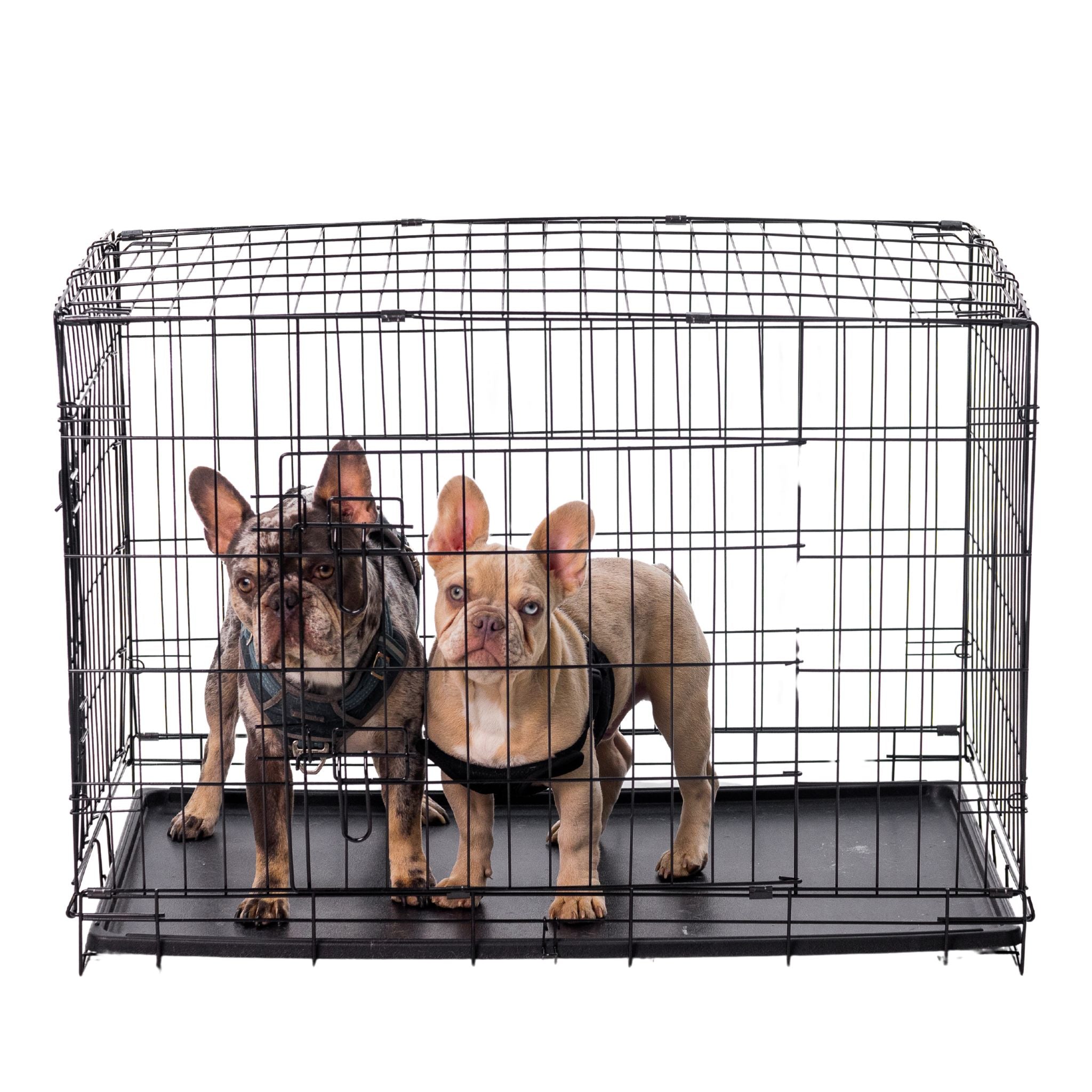 Classic Wire Kennel of Varying Sizes.