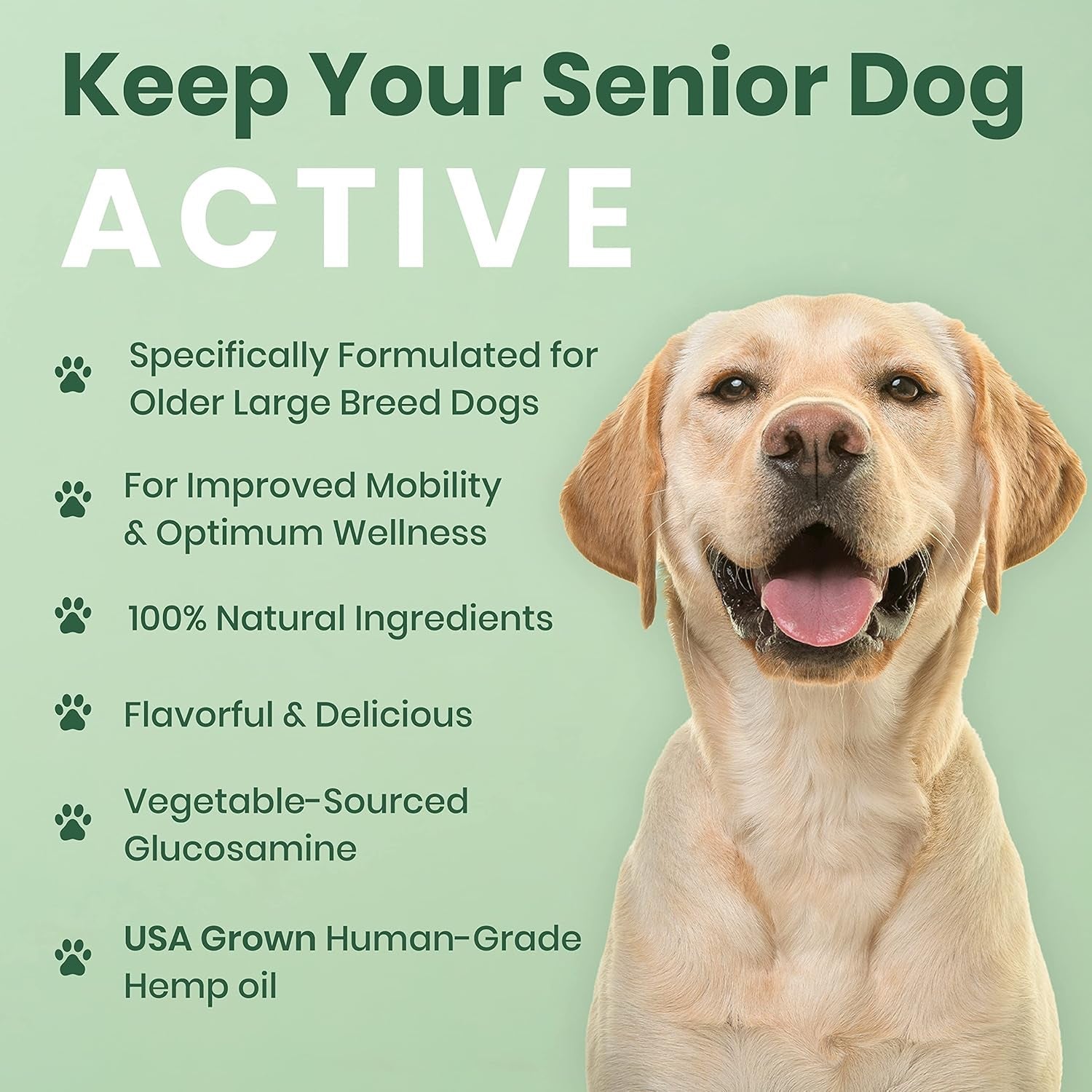 Dog Hip Joint Supplement Hemp Glucosamine Chews Senior Large Breed