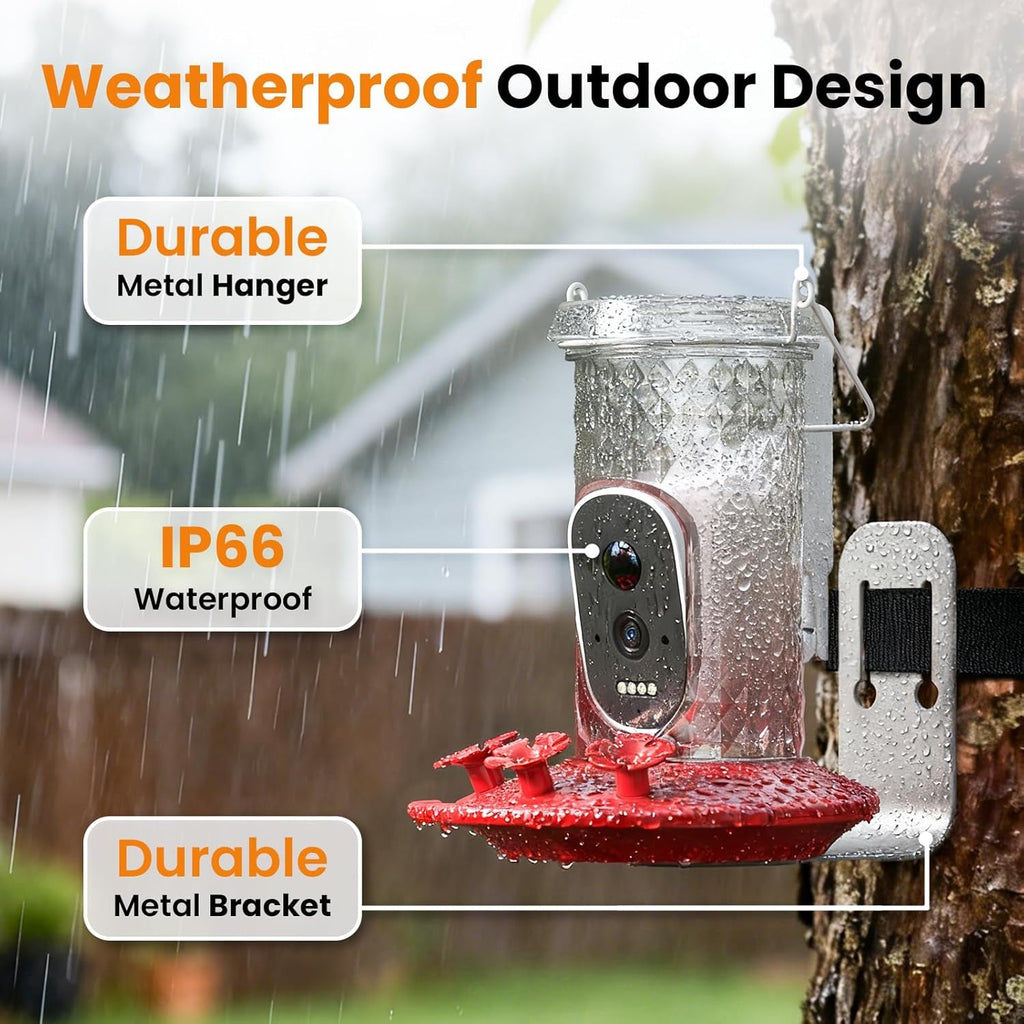 Hummingbird Feeder Camera Solar WiFi 2.5K HD AI Night Vision