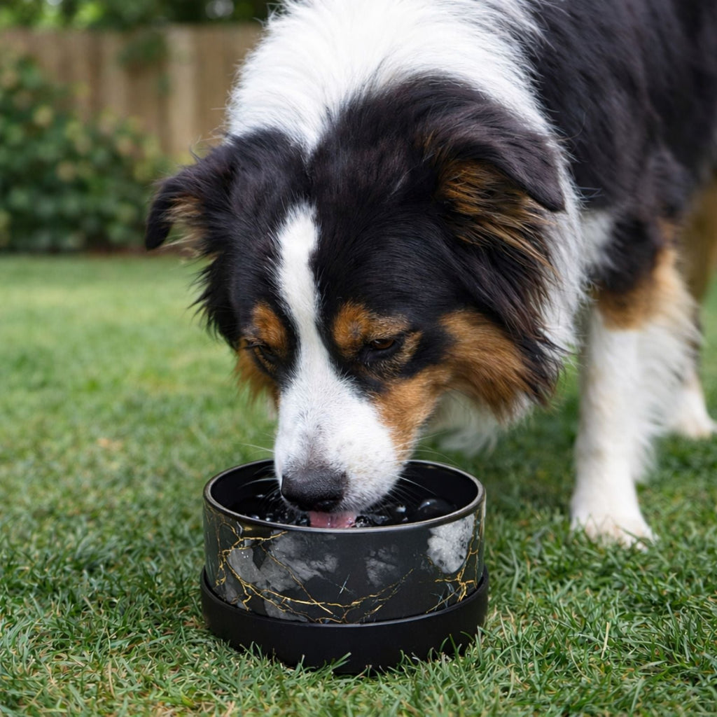 Wasatch Limited Edition Ceramic Bowl