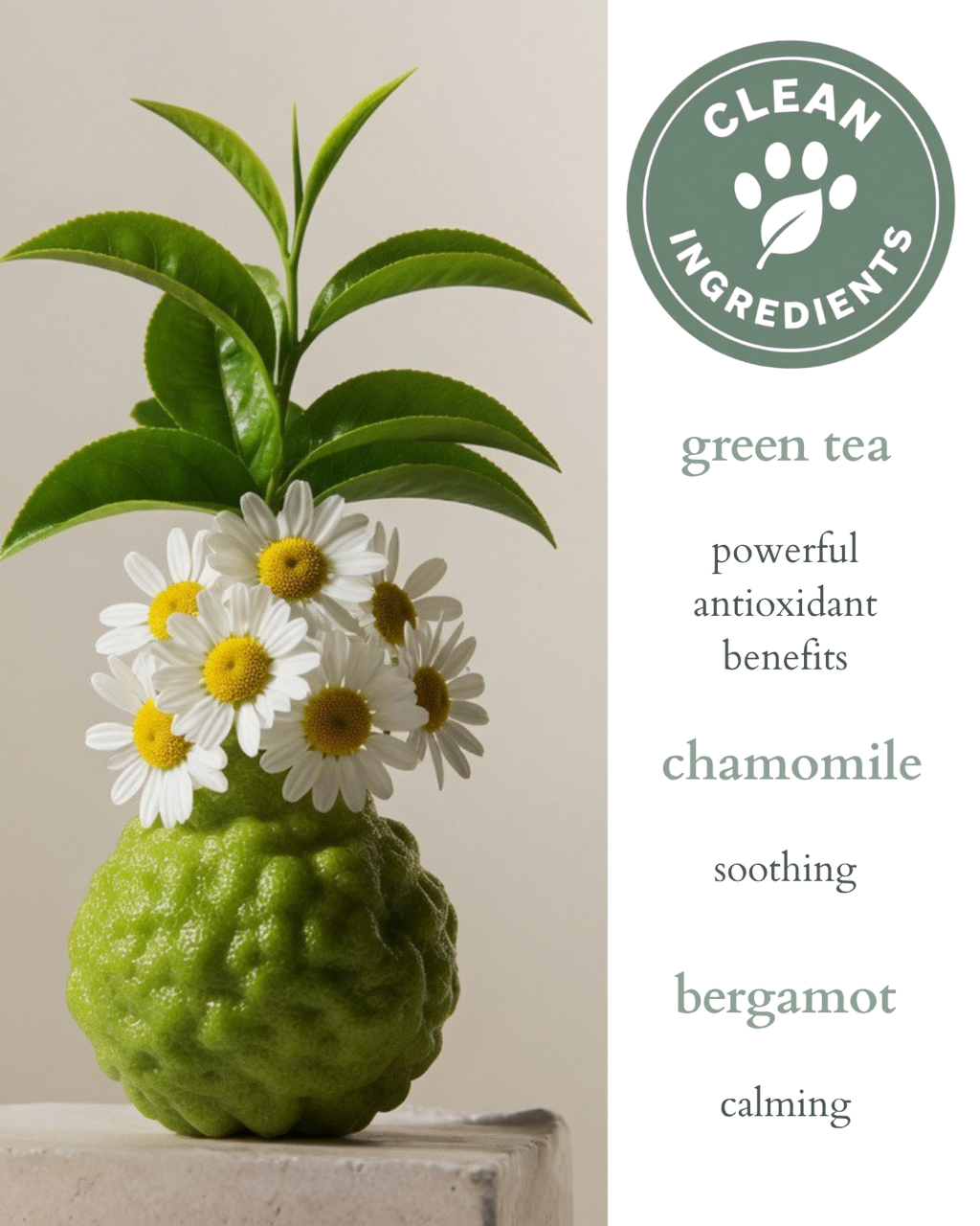 Natural Pet Spray