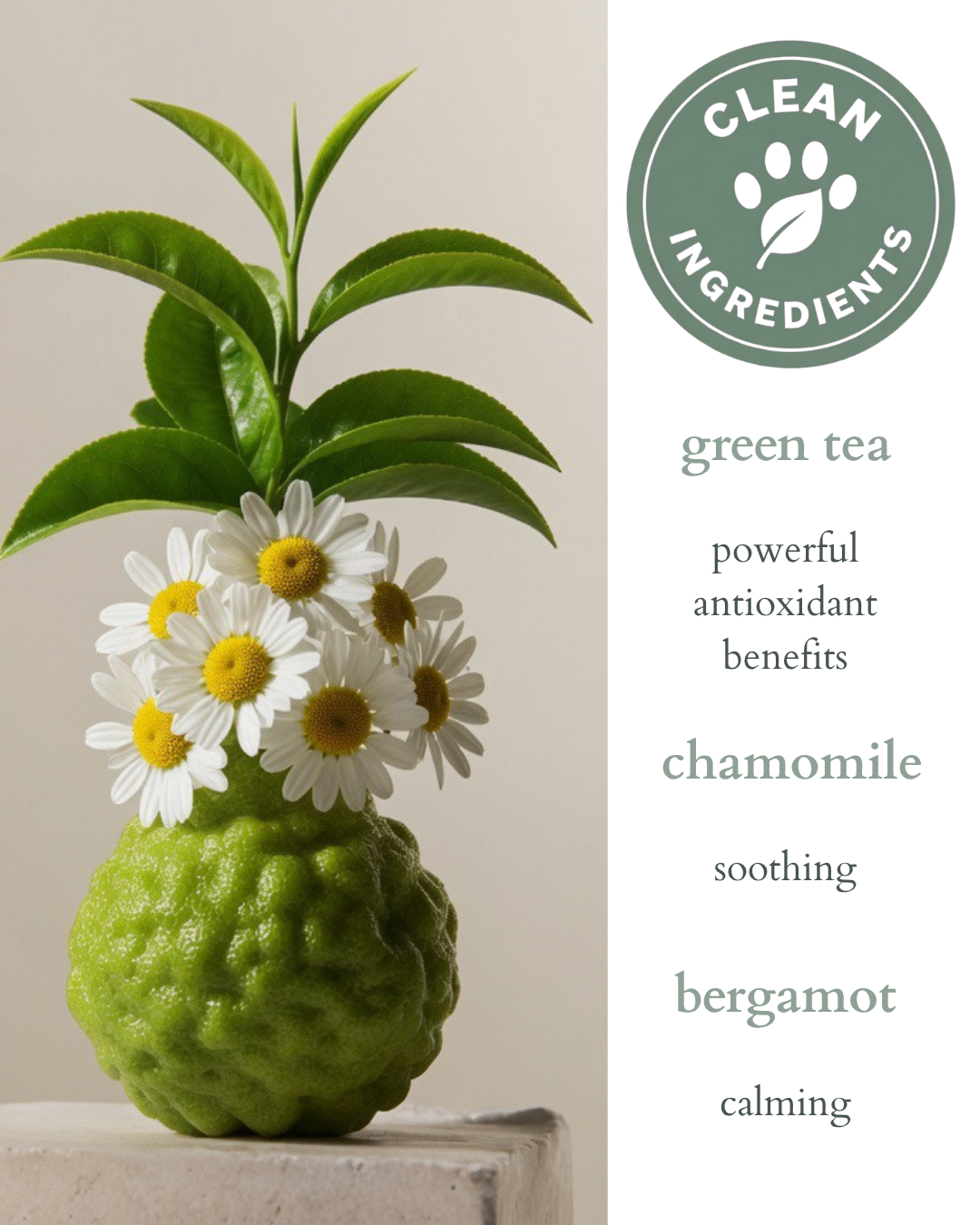 Natural Pet Spray