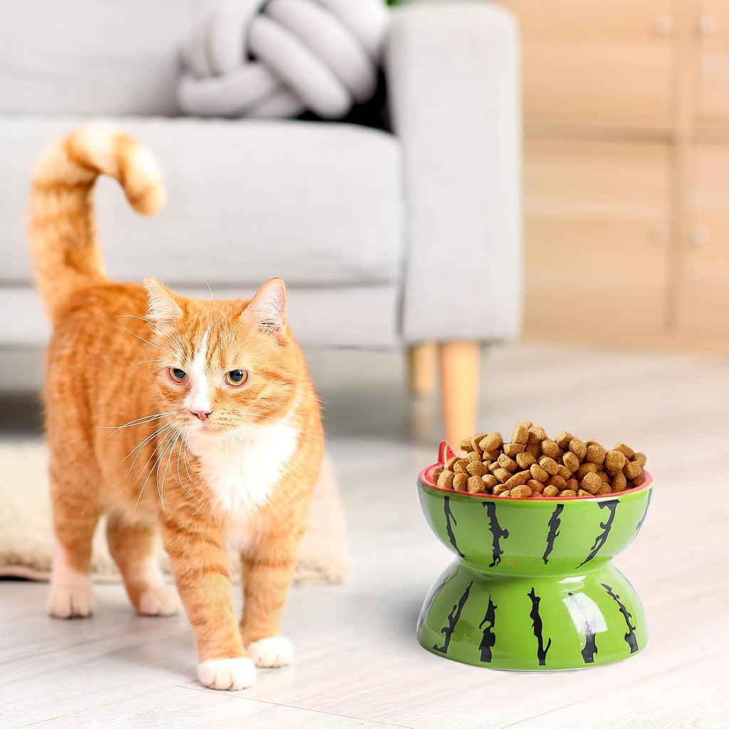 Ceramic Raised Cat Bowl - Elevated Wide Cat Bowl For Food And Water Tilted Pet Feeder Dish For Indoor Cats And Small Dogs