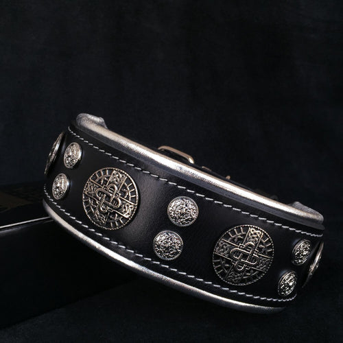 Black leather dog collar with metal studs and decorative plates on a dark background